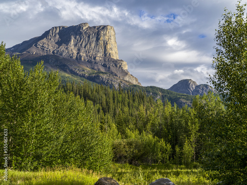 Rugged Canadian Rocky Mountains with a forest in the valley; Alberta, Canada
