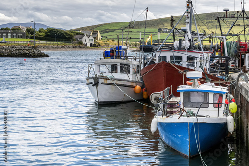 Colourful fishing boats in a harbour; Dingle, County Kerry, Ireland photo