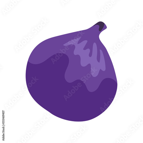 Purple onion with vitamin C vector illustration. Cartoon drawing of enriched organic antioxidant, purple onion. Food, nutrition, diet concept