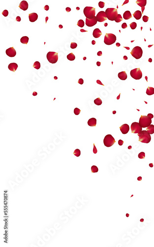 Pink Cherry Blur Vector White Background. Falling