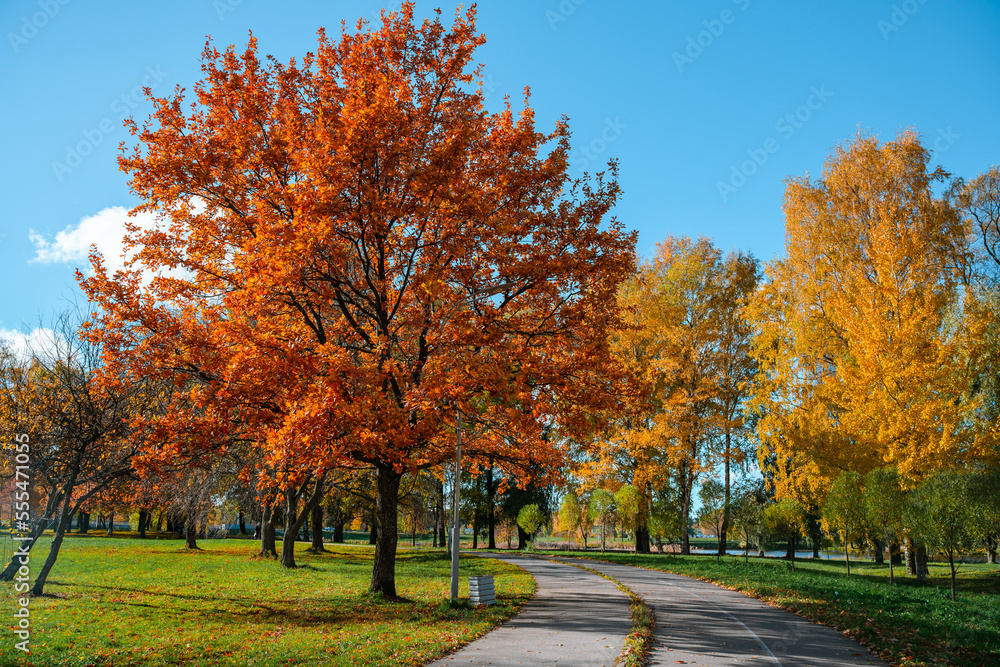 Beautiful autumn park. Panorama of the city park in sunny weather Beautiful autumn park. Panorama of the city park in sunny weather