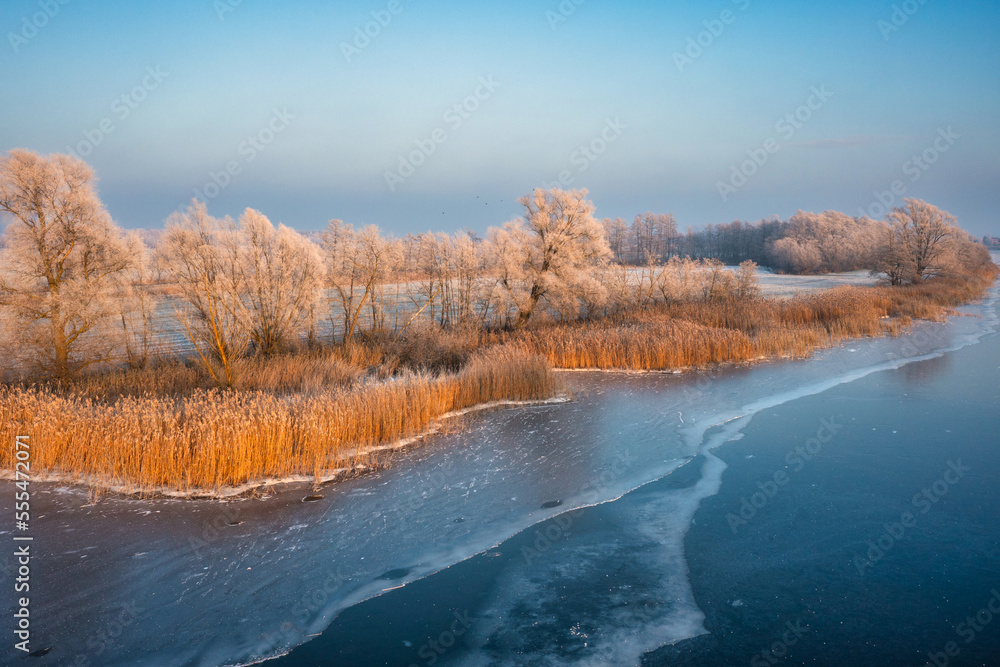 Frozen landscape of Vistula Fens, Poland
