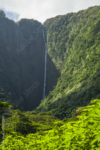 Hi'ilawe Falls, back of Waipio Valley, Hamakua Coast near Honokaa; Island of Hawaii, Hawaii, United States of America photo