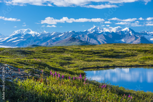 The Alaska Range as seen from the McLaren Ridge Trail off the Alaska Highway on a sunny summer day in South-central Alaska; Alaska, United States of America