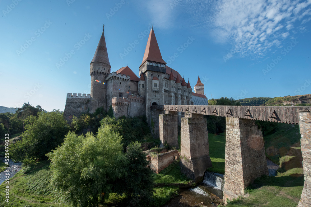 Fototapeta premium castle in the forest