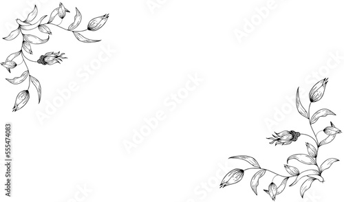 Floral floral background, frame, border, with delicate flowers and branches of buds. Contour hand drawing. Engraving. With space for text