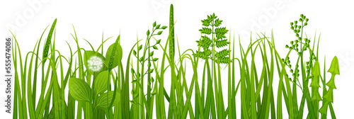 Realistic grass. Green spring weeds. Growing plants