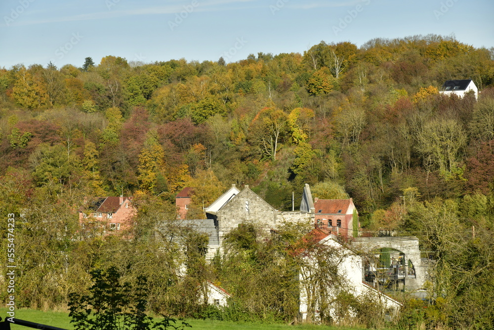 Quelques maisons ou fermes dissimulées dans la végétation luxuriante en automne sur les collines longeant la Sambre entre Thuin et Lobbe en Hainaut 