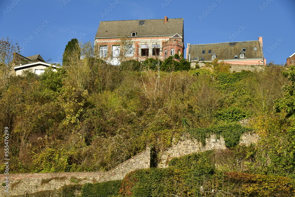 Quelques vieilles bâtisses historique dominant la végétation luxuriante des jardins en terrasses à Thuin en Hainaut Quelques vieilles bâtisses historique dominant la végétation luxuriante des jardins en terrasses à Thuin en Hainaut