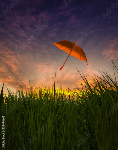 Composite image of an umbrella floating over grass at sunset photo