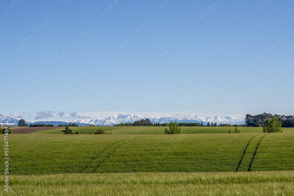 Lush, green farmland with mountain range in the distance,; Canterbury, South Island, New Zealand Lush, green farmland with mountain range in the distance,; Canterbury, South Island, New Zealand