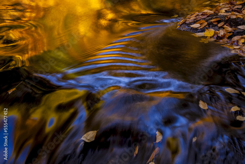 Autumn coloured leaves and blue sky reflections in Jeffers Brook near Lakelands; Nova Scotia, Canada photo