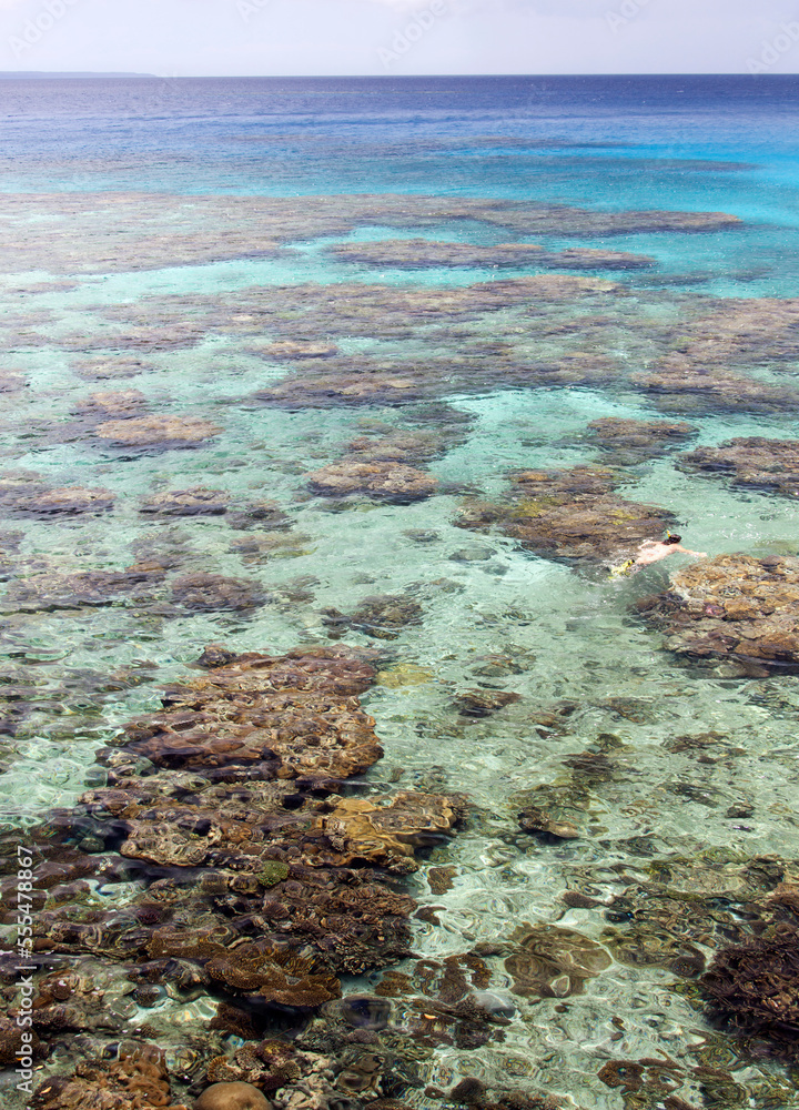 New Caledonia's Lifou Island Snorkeling