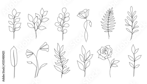 Flower, floral leaf one line art. One continuous line art leaf, flower minimal design. Editable stroke eucalyptus branch, rose, poppy foliage floral element. Isolated vector illustration