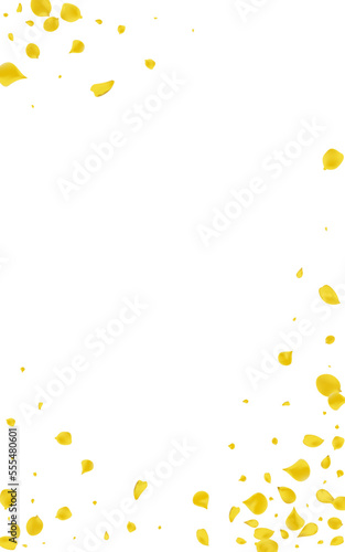 Amber Rose Japan Vector White Background. Falling