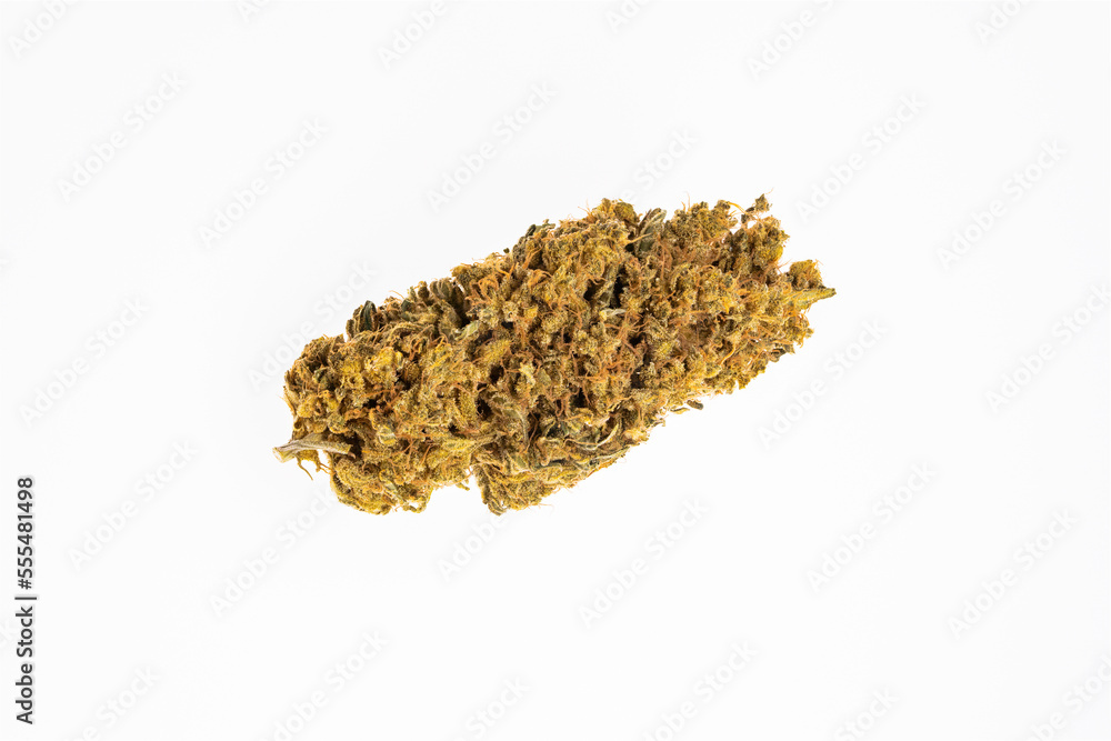 Dried and cured Marijuana, strain-Caesar, ready for sale; Studio Dried and cured Marijuana, strain-Caesar, ready for sale; Studio