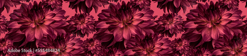 Patern dahlia Magenta flowers of different sizes on a pink background.