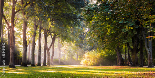 Park mit Bäumen und einfallender Sonne und Schatten.