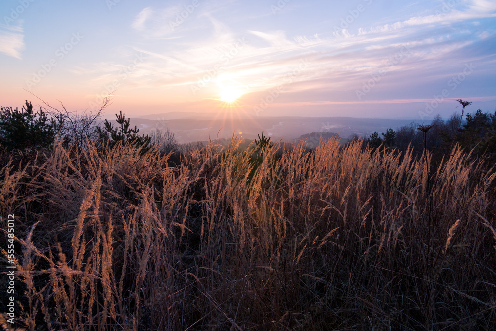 Fototapeta premium Sonnenuntergang mit Grashalmen und Wiese im Vordergrund.