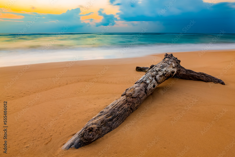 Driftwood on a beach at sunrise; Kauai, Hawaii, United States of America Driftwood on a beach at sunrise; Kauai, Hawaii, United States of America