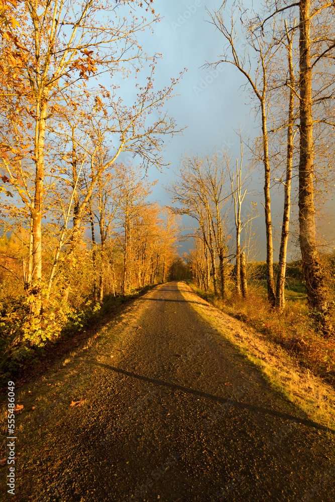 Evening light casting shadows across the multi use Snoqualmie Valley Trail in late Fall