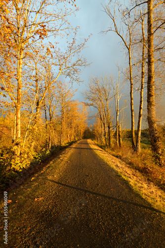 Evening light casting shadows across the multi use Snoqualmie Valley Trail in late Fall © IanDewarPhotography