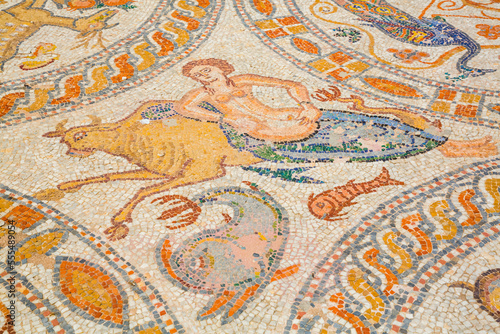 Mosaic, 4th Century BC, Archaeological Museum of Naxos, Castle of Chora; Chora, Naxos Island, Cyclades, Greece photo