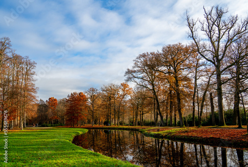 Autumn in a park in the Netherlands 