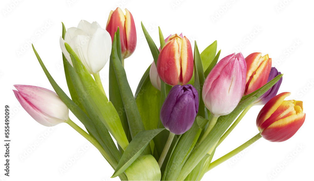 Naklejka premium Bouquet de tulipes de différentes couleur 