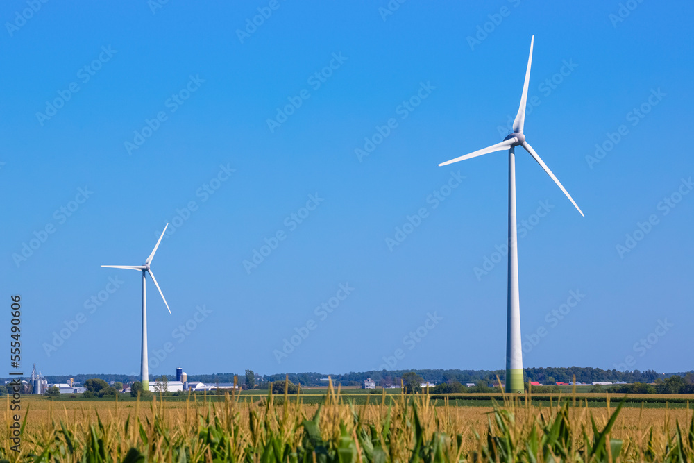 Wind turbines on farmland with a corn field in the foreground; Saint Remi, Quebec, Canada Wind turbines on farmland with a corn field in the foreground; Saint Remi, Quebec, Canada