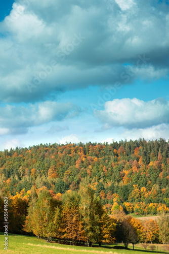 view from the top of the autumn forest background