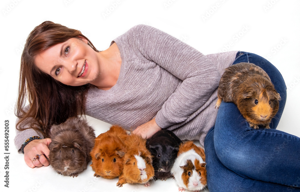 A woman poses with her pet guinea pigs (Cavia porcellus) on a white background; Studio A woman poses with her pet guinea pigs (Cavia porcellus) on a white background; Studio