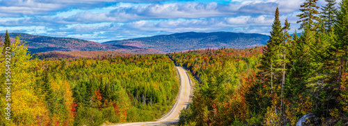 Autumn coloured foliage in a forest over the hills and a road running through it in the Laurentian Mountains; Quebec, Canada
