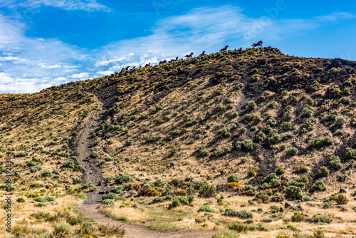 Metal art depicting wild horses running across a ridge atop the Wild Horse Monument near the town of Vantage in Eastern Washington; Vantage, Washington, United States of America photo