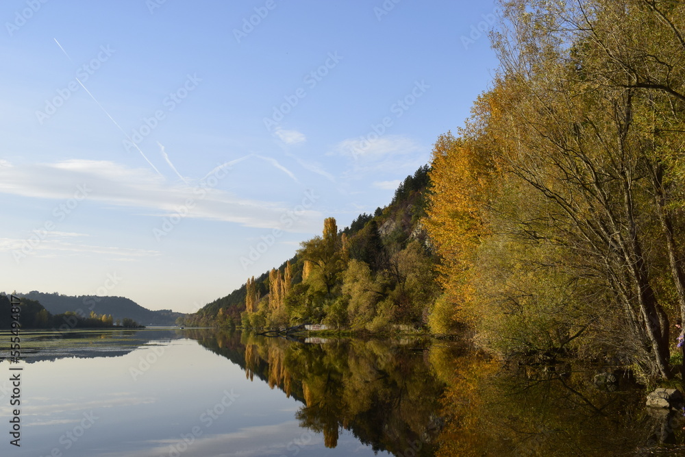 reflection of trees in the lake