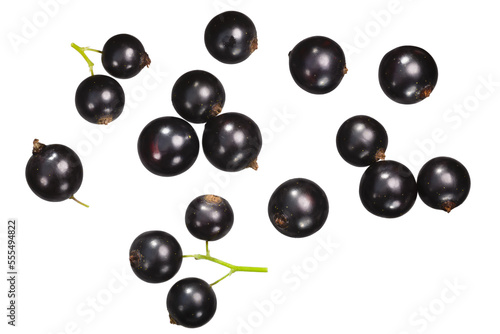 Blackcurrant  berries of Ribes nigrum   top view isolated png