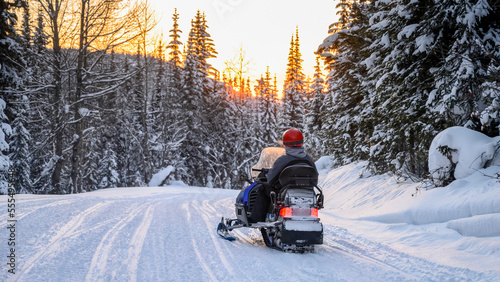 Snowmobile goes down a trail through a forest in winter at sunset; Sun Peaks, British Columbia, Canada photo