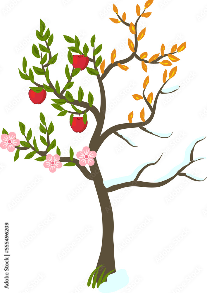 Fototapeta premium Four season tree