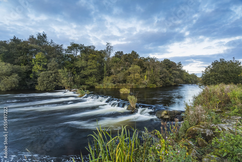Small cascade on the River Shannon outside of Castleconnell with a small forest in the background; Castleconnell, Limerick, Ireland