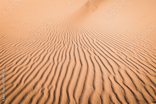 sabbia del deserto photo
