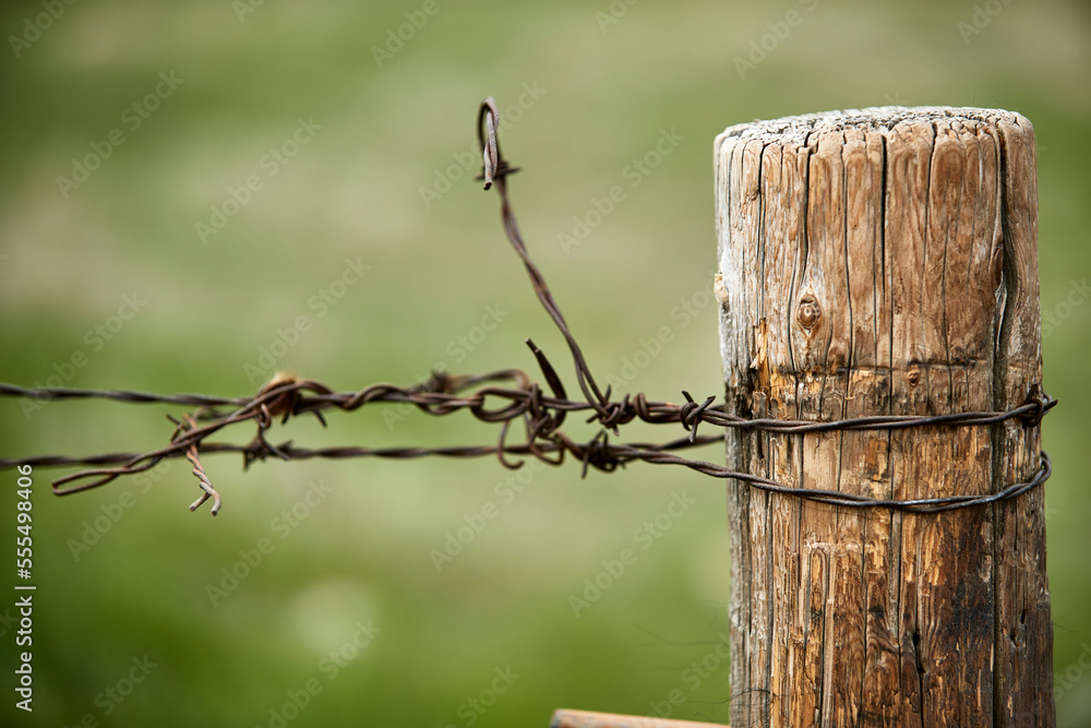 Barbed wire best sale canada