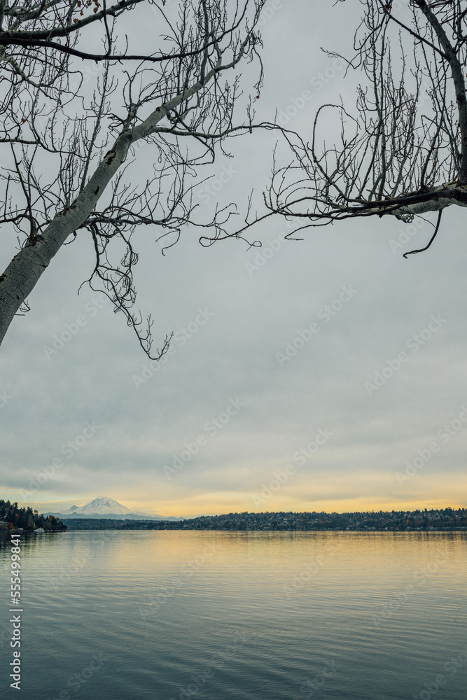 pastel blue gray clouds and glowing yellow sunset at Seward Park in Seattle with view of Mt. Rainier and Lake Washington pastel blue gray clouds and glowing yellow sunset at Seward Park in Seattle with view of Mt. Rainier and Lake Washington