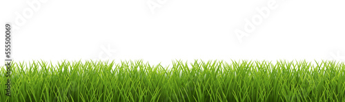 Green Grass Frame Isolated Wite Background