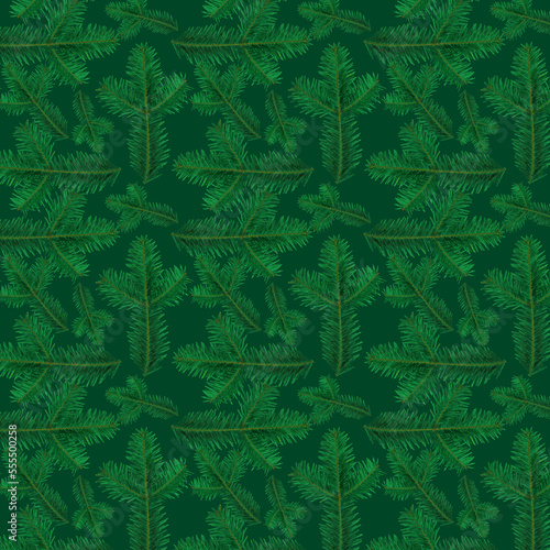 Pattern green fir branches on a green background.
