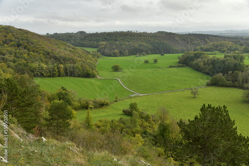 Vue de la vallée de la Lesse vers la réserve naturelle de Han-Sur-Lesse en province de Namur 