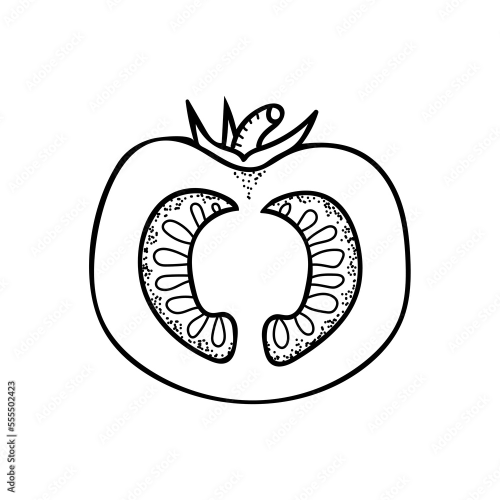 Tomato slice line art. Farm vegetable. Dietary healthy product. Hand drawn vector sketch illustration. Tomato slice line art. Farm vegetable. Dietary healthy product. Hand drawn vector sketch illustration.
