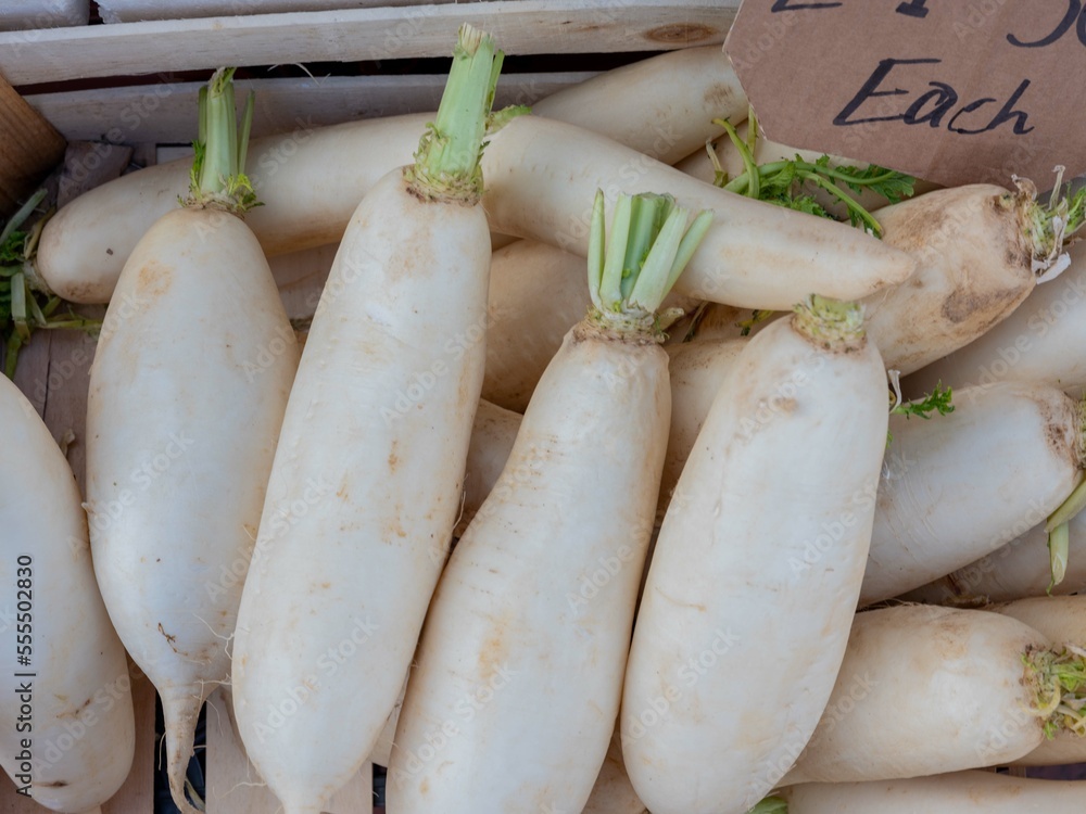 fresh mooli vegetables at the market fresh mooli vegetables at the market