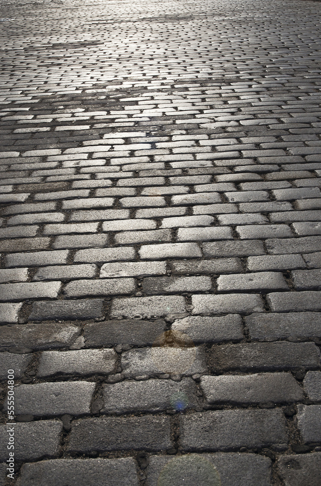 Cobblestone Street near Ellis Island, New York City, New York, USA Cobblestone Street near Ellis Island, New York City, New York, USA