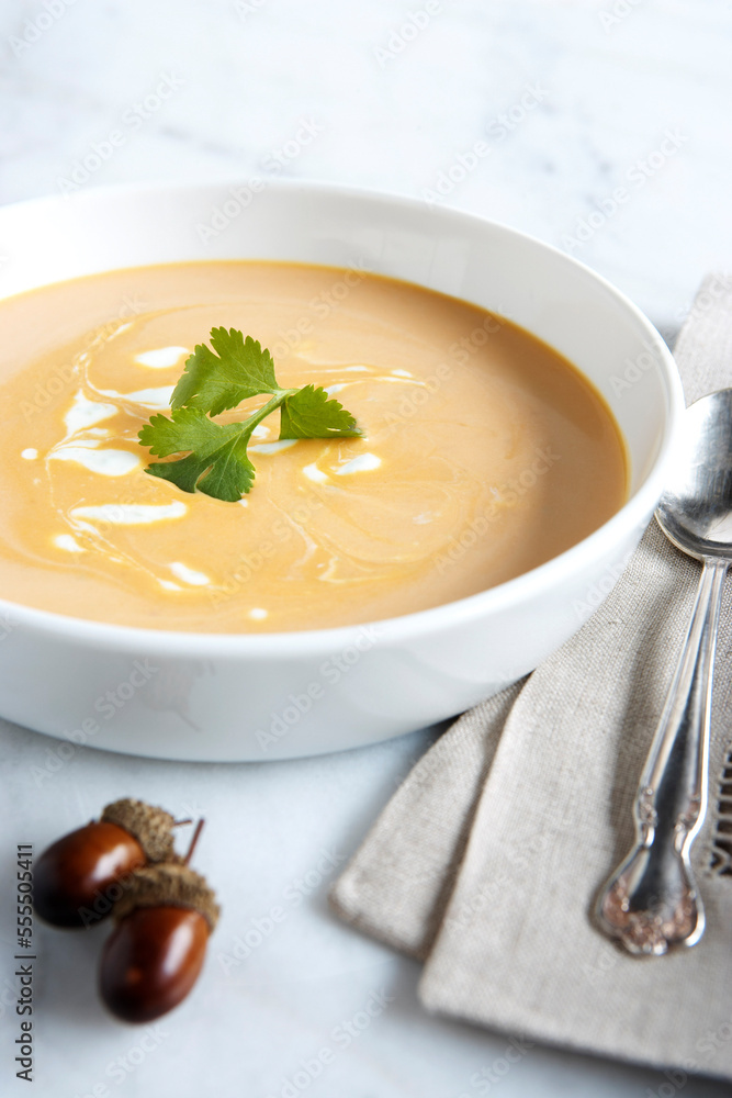 Squash Soup Squash Soup