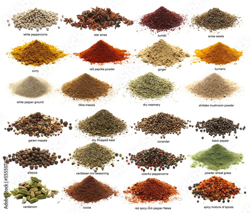 Big set different spices isolated on white, side view, clipping path